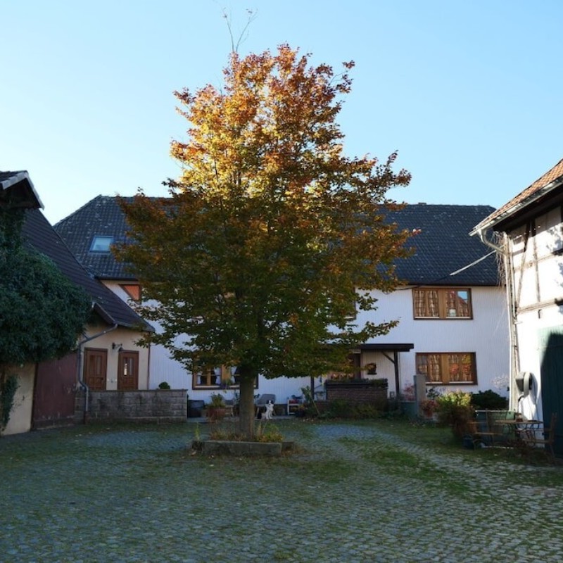 Sommerhus - 4 personer -  - 38667 - Bad Harzburg \/ Westerode