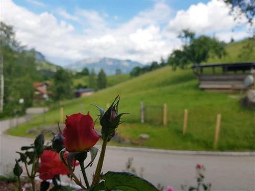 Sommerhus - 10 personer -  - Am Höldersberg - 87527 - Sonthofen-Binswangen