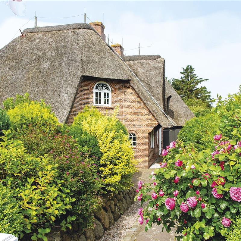 Sommerhus - 4 personer -  - Hans-Hansen-Wai - 25999 - Kampen Auf Sylt