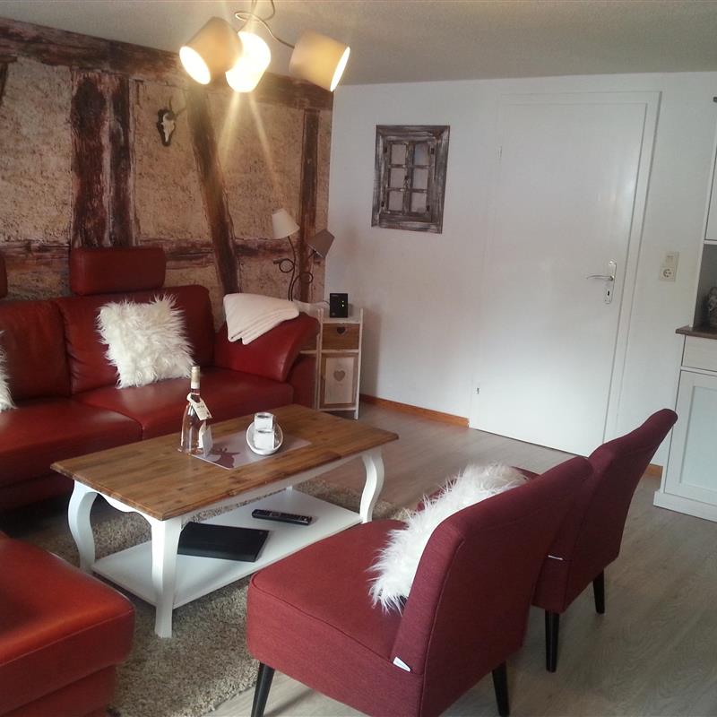 Sommerhus - 9 personer -  - Mühlenstraße - 37444 - Sankt Andreasberg