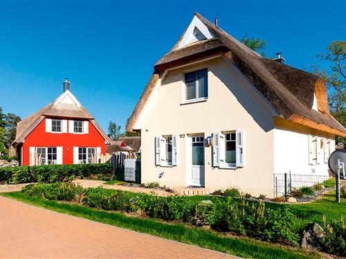 Sommerhus - 5 personer -  - Am Dünenwald - 18551 - Glowe