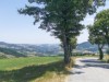 Billede 7