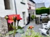 Bilde 5