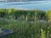 Bild 31 - Område