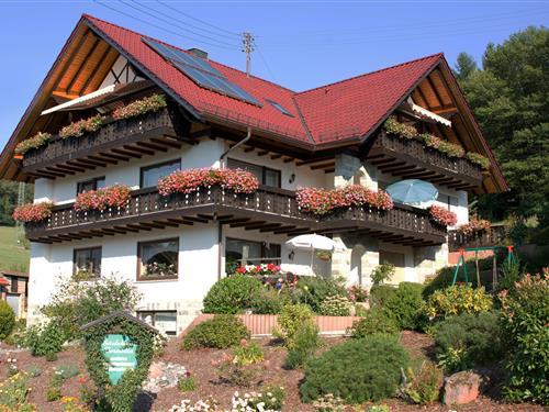 Holiday Home/Apartment - 2 persons -  - Wildensee Hof - 63863 - Eschau