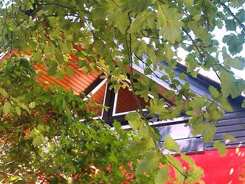 Ferieleilighet - 2 personer -  - Bövergeest - 25836 - Garding