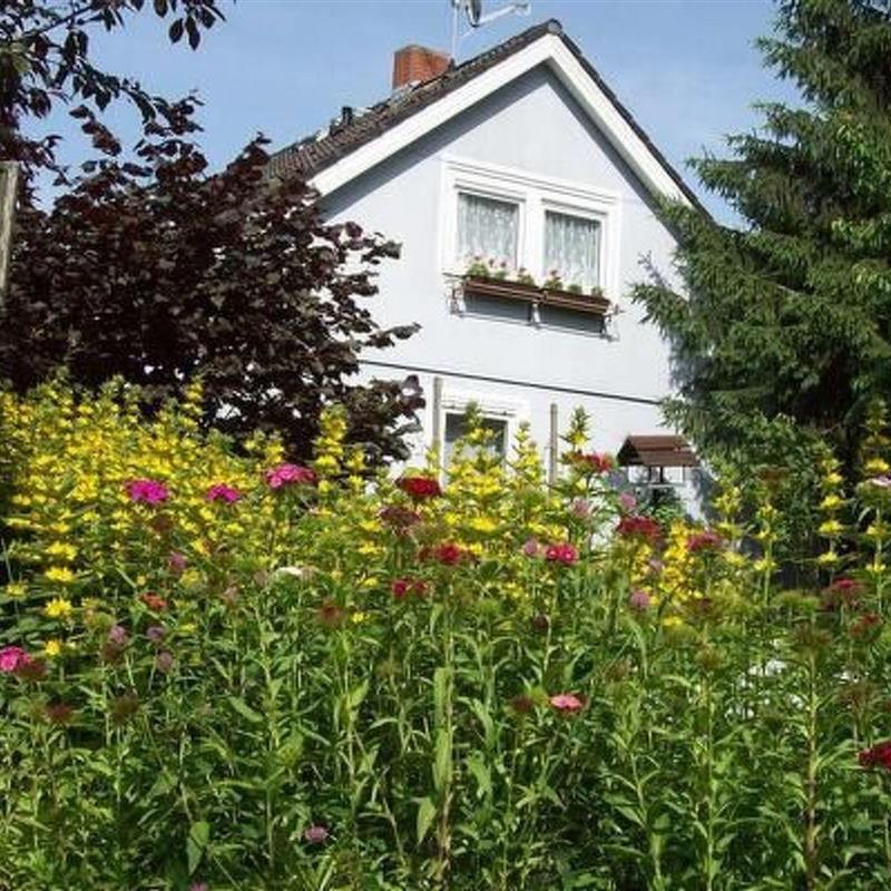 Ferielejlighed - 4 personer -  - Schelingen - 79235