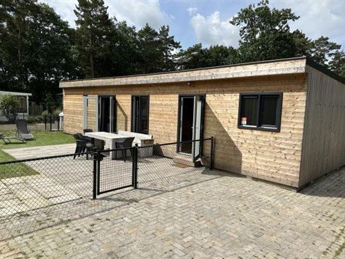 Sommerhus - 8 personer -  - 5731 XN - Mierlo