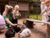 Bild 13