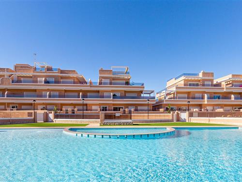 Ferielejlighed - 4 personer -  - Calle Iris - 03191 - Torre De La Horadada