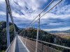 Billede 7