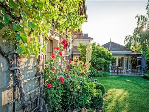 Ferieleilighet - 4 personer -  - Erlinsbach - 5015