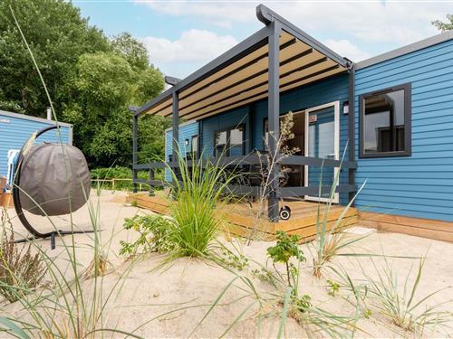 Ferienhaus - 6 Personen -  - Strandallee - 23683 - Scharbeutz