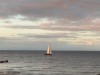 Billede 36