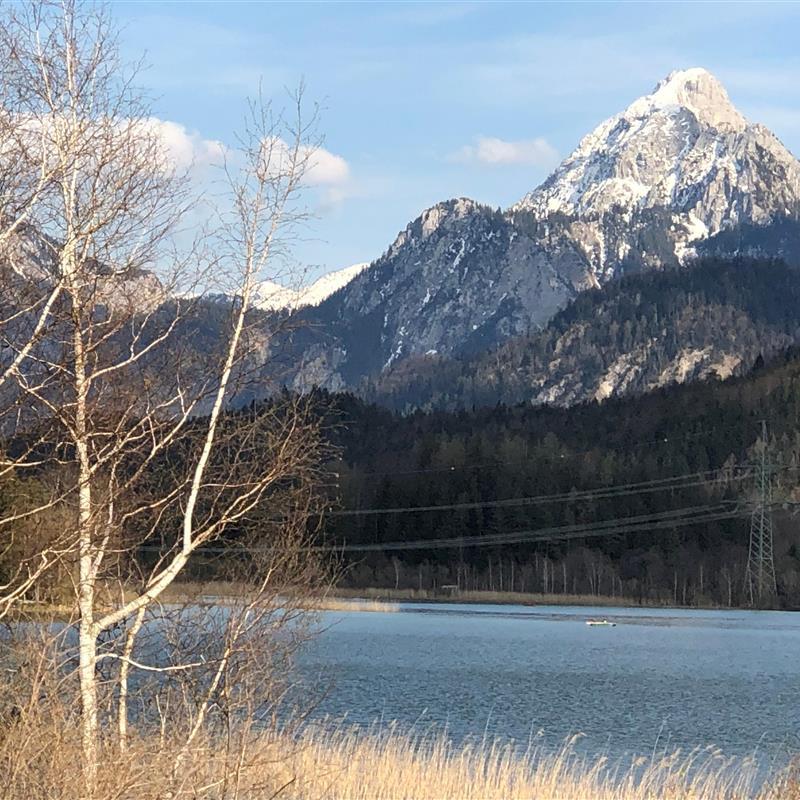 Ferielejlighed - 4 personer -  - Thanellerstraße - 87629 - Füssen/See