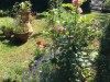 Bild 17