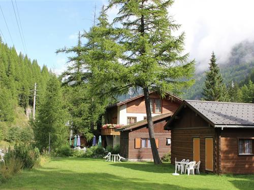 Chalet - 4 personer -  - 3908 - Saas Balen