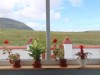 Image 5 - Outside