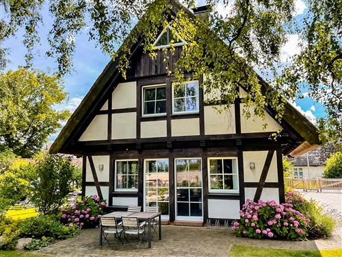 Sommerhus - 9 personer -  - Poststraße - 17406 - Liepe