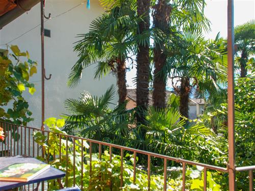 Holiday Home/Apartment - 3 persons -  - Gordola - 6596