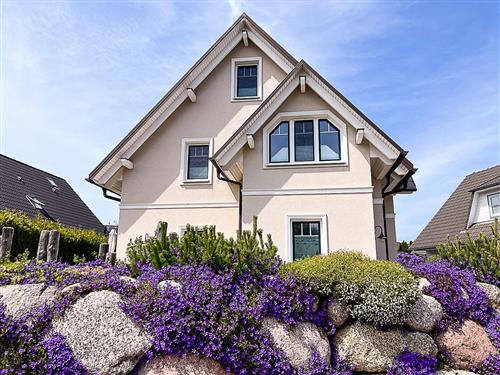 Ferieleilighet - 4 personer -  - Deichweg - 18374 - Zingst / Ostseebad Zingst