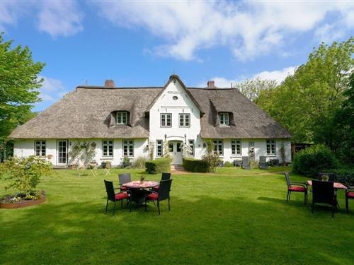 Ferielejlighed - 2 personer -  - Kirchspielplatz - 25889 - Uelvesbüll