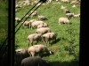 Bild 18