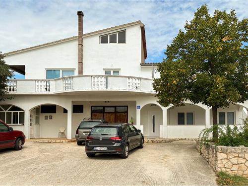 Ferielejlighed - 4 personer -  - Brkici - Sredina sela - Zadar - Krusevo - 23450 - Krusevo