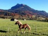 Bilde 4
