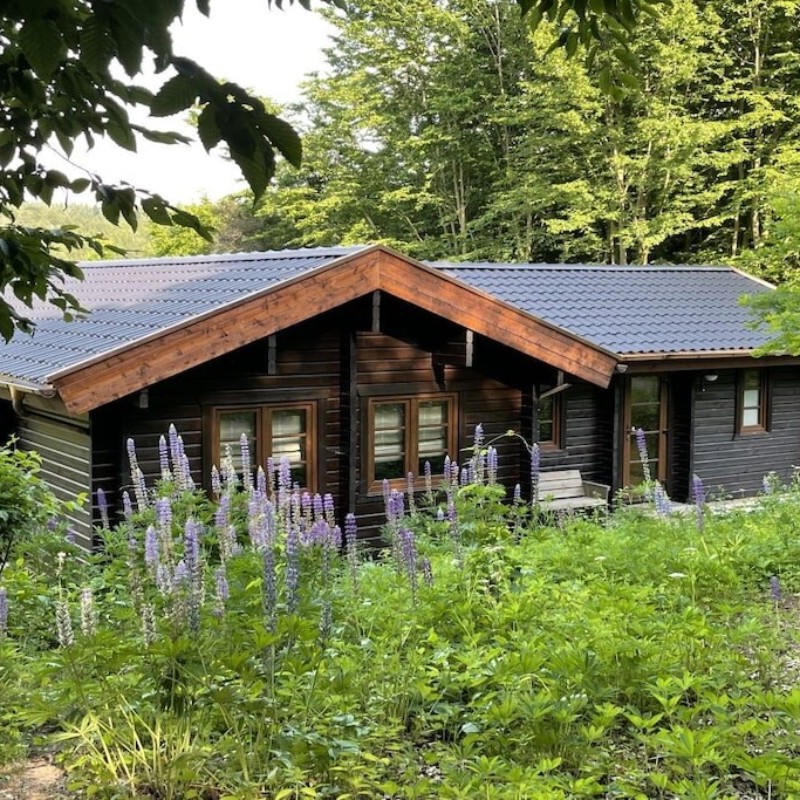 Sommerhus - 6 personer -  - 34454 - Bad Arolsen