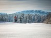 Bild 42