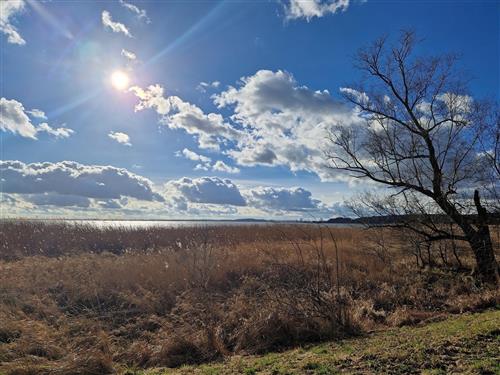 Holiday apartment - 2 persons -  - Gnitzer Weg - 17440 - Lütow