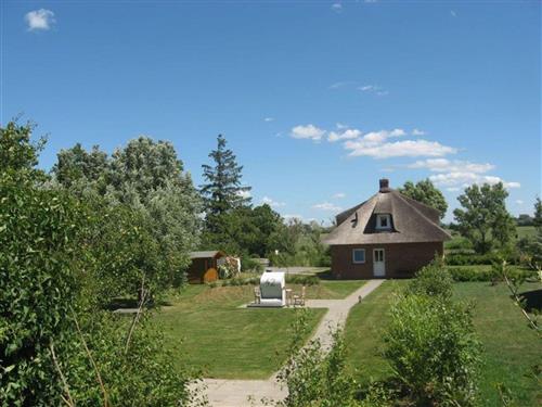 Ferienhaus - 6 Personen -  - Westerdeich - 25836 - Vollerwiek