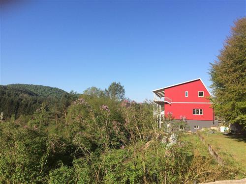 Ferienwohnung - 4 Personen -  - Am Wachtfelsen - 66994 - Dahn