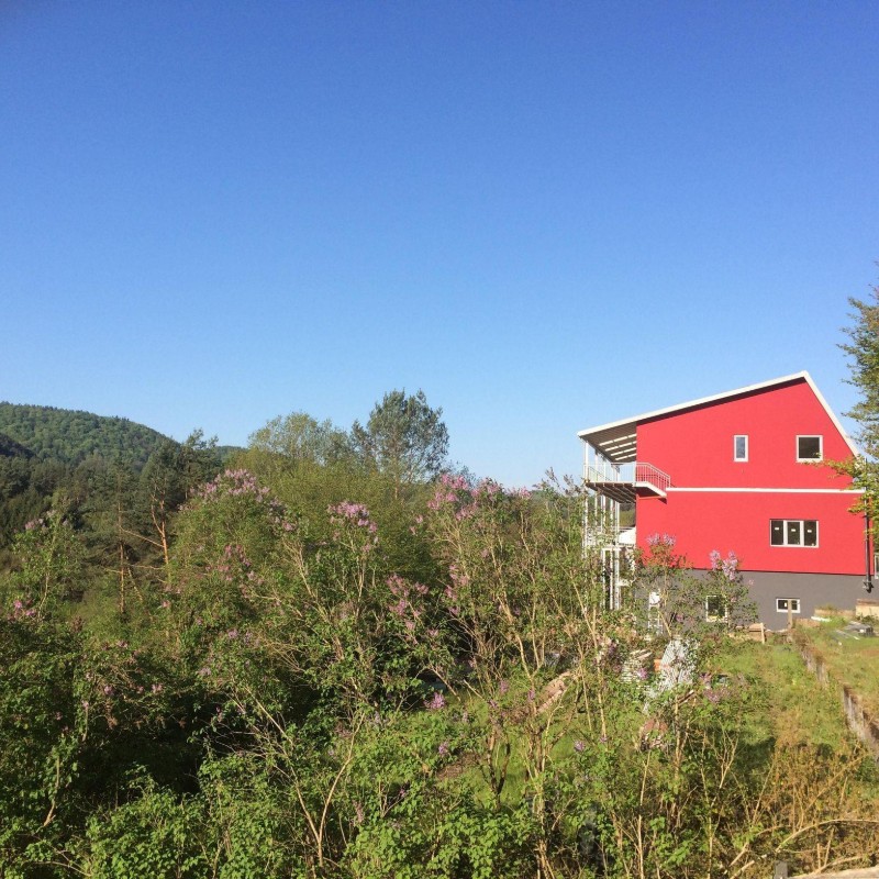 Ferielejlighed - 4 personer -  - Am Wachtfelsen - 66994 - Dahn
