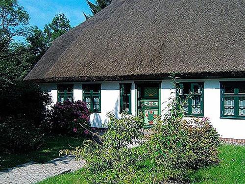 Ferieleilighet - 2 personer -  - Jordanstraße - 18374 - Ostseeheilbad Zingst