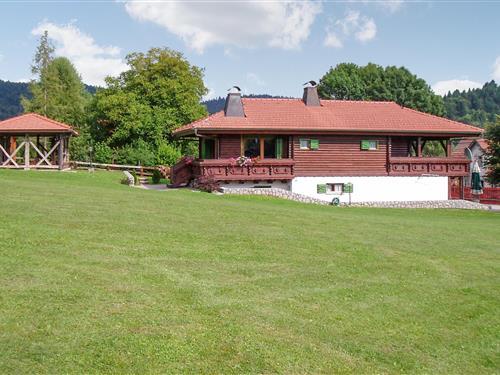 Feriehus / leilighet - 4 personer -  - Vucinici - Gorski Kotar-Moravice - 51325 - Moravice