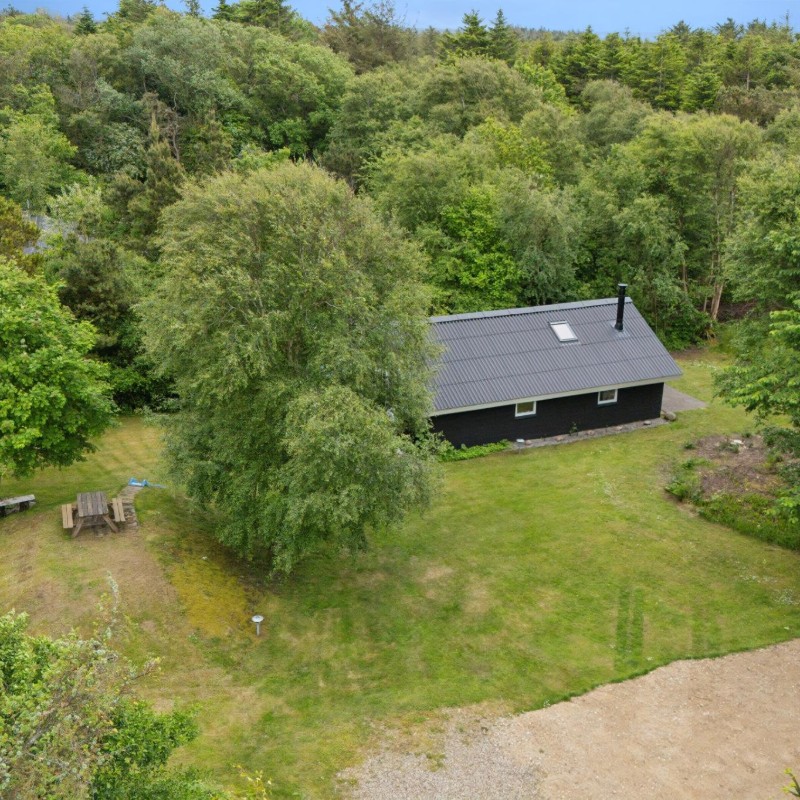Ferienhaus - 6 Personen -  - Helligsøvej - 7760 - Hurup