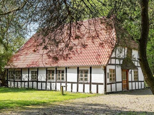 Ferienhaus - 6 Personen -  - Skovvangsvej - Barløse - 5610 - Assens