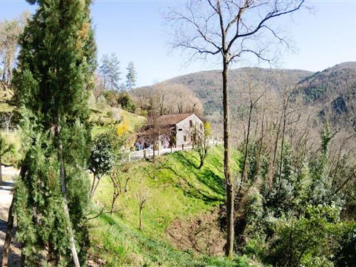 Feriehus / leilighet - 4 personer -  - 55100 - Lucca