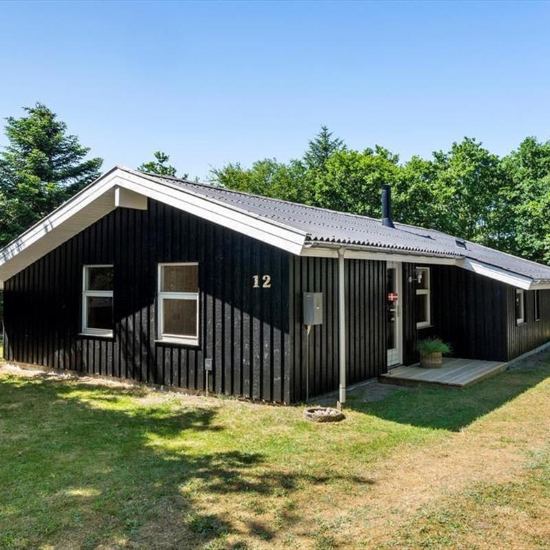 Ferienhaus - 6 Personen -  - Raappenmark - 9492 - Blokhus