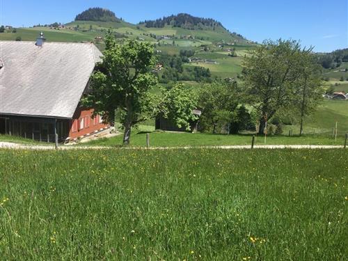 Sommerhus - 6 personer -  - Hetzelschwendi - 3158 - Guggisberg