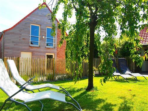 Sommerhus - 6 personer -  - Ellezelles - 7890
