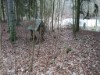 Bild 6 - Ude