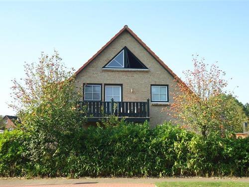 Holiday Home/Apartment - 4 persons -  - 25826 - St. Peter-Ording