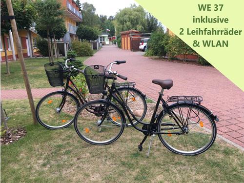 Semesteranläggning - 4 personer -  - Oberförsterweg - 17459 - Zempin