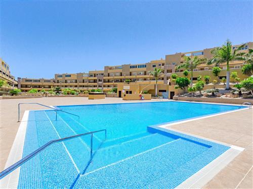 Semesterlägenhet - 4 personer -  - El Médano - 38612