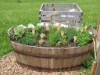 Billede 17