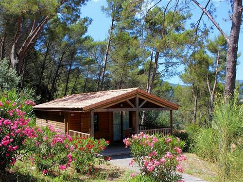 Sommerhus - 6 personer -  - RD - Hyères - 83210 - Solliès Toucas