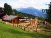 Bild 13